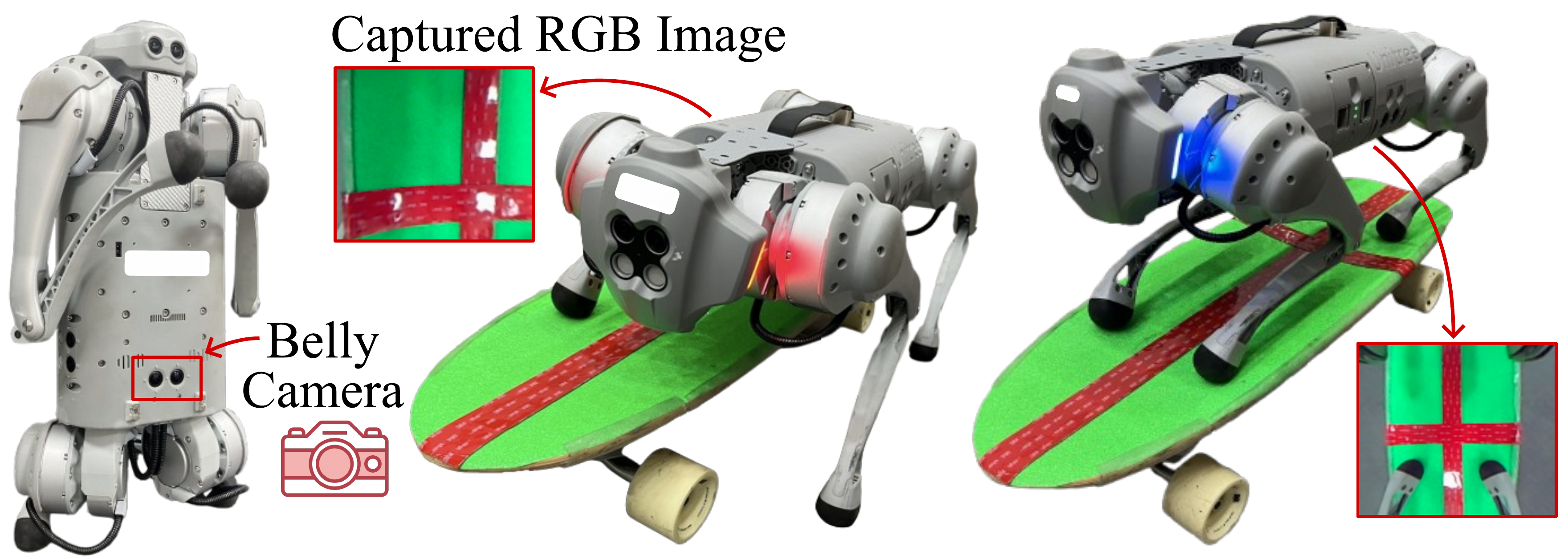 Unitree Go1 riding a skateboard with a belly-mounted RGB camera